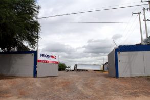 frigomag3