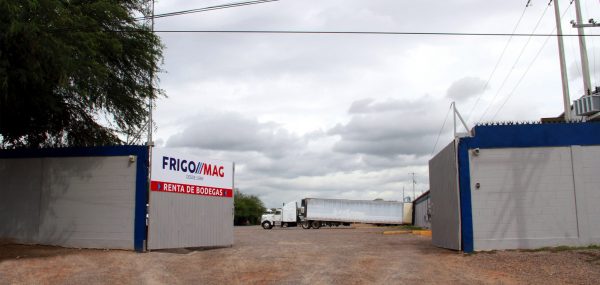 frigomag3